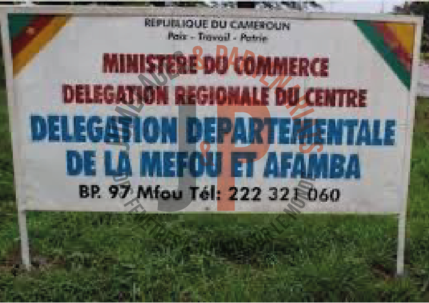 Mefou et Afamba : Le Fonds départemental pour l’émergence de la ...