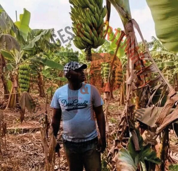 Penser, produire, écrire : Le triple…