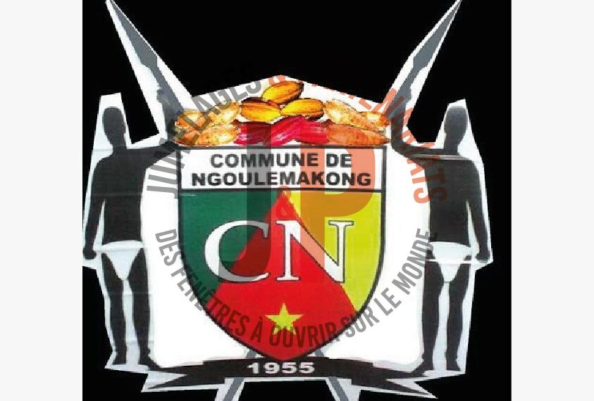 Ngoulemakong : Le Maire dresse un bilan 2025 positif et se projette avec optimiste vers 2026