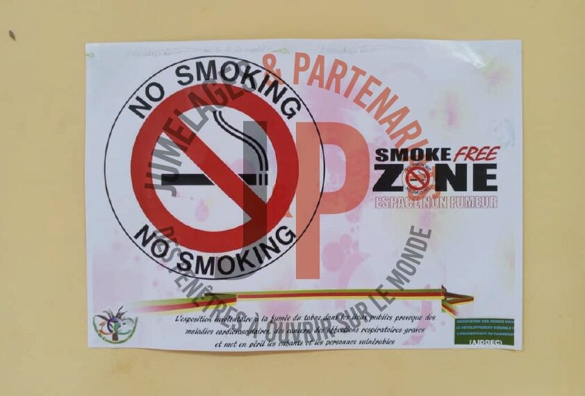 Collectivités territoriales décentralisées : Acteurs clés de la lutte contre…