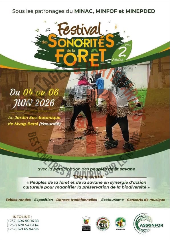 Célébrer les sonorités de la forêt : Un festival aux multiples vertus