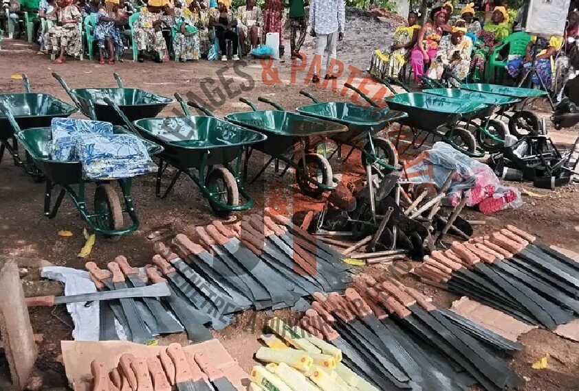 Appui à l’agriculture à Batchenga : Sa…