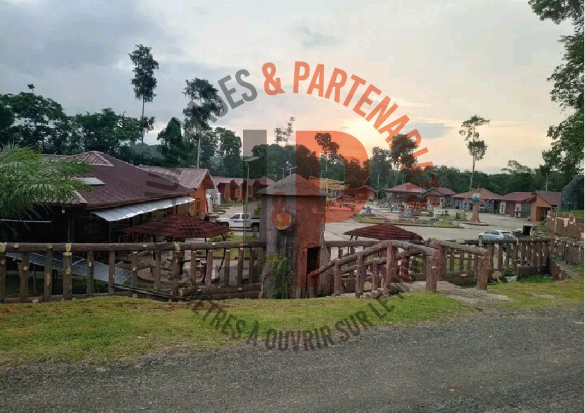 Tourisme et loisirs : Découvrez les Gîtes d’Ewodi, un cadre idéal pour vos séjours et événements