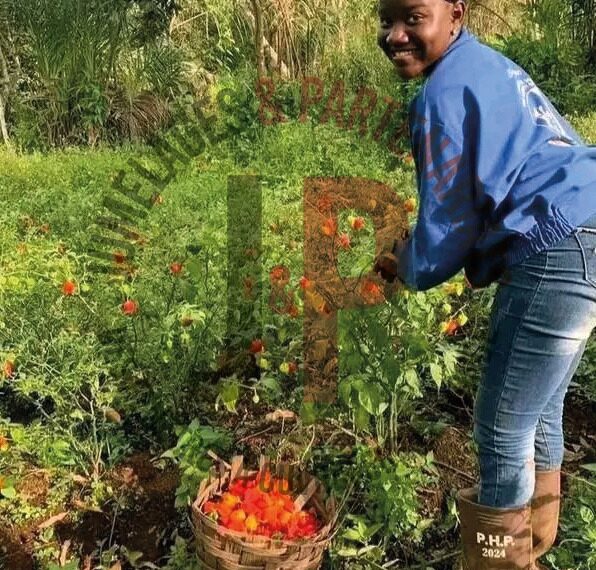 Dora Dongmo : L’Amazone verte qui fait germer l’espoir agricole…