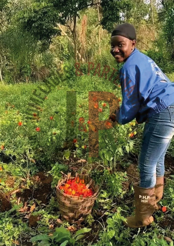 Dora Dongmo : L’Amazone verte qui fait germer l’espoir agricole au Cameroun