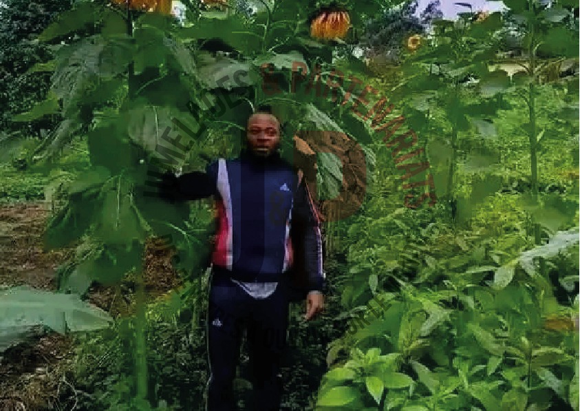 Du tournesol à la réussite : Comment un jeune agronome camerounais transforme une simple graine en…