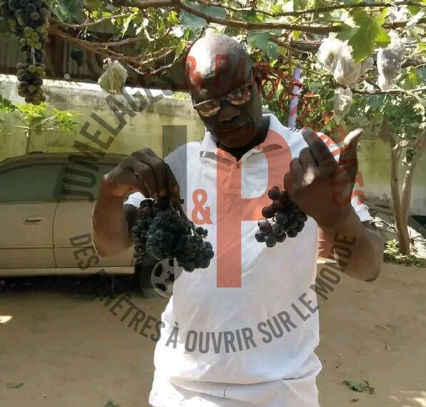 Du Canada à Maroua : Le pari de Boubakari Hamadou…