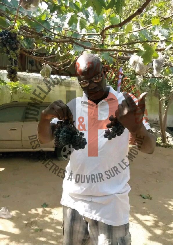 Du Canada à Maroua : Le pari de Boubakari Hamadou devenu une success-story agricole