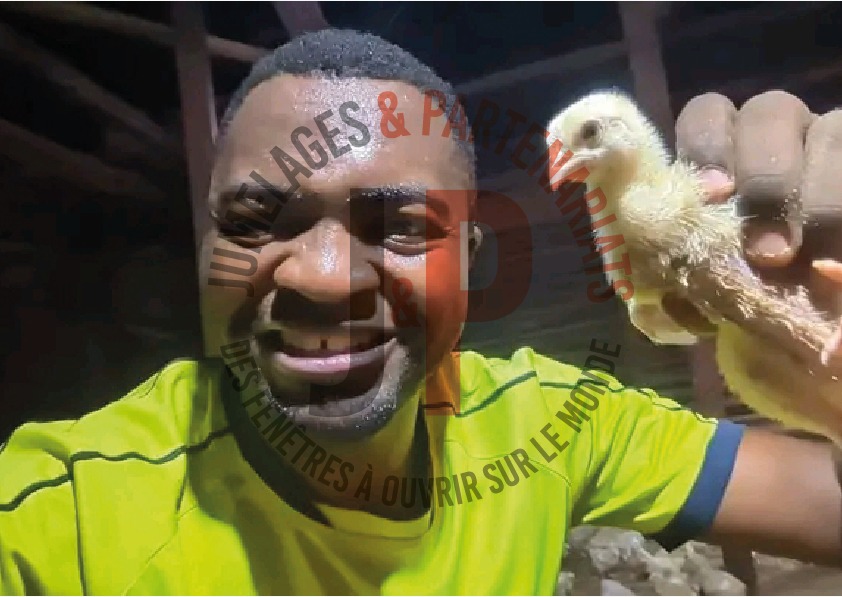 Entrepreneuriat agricole : Nguims Agro Business, un partenaire de confiance pour les éleveurs camerounais